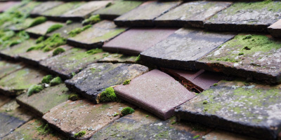 Cardiff roof repair costs